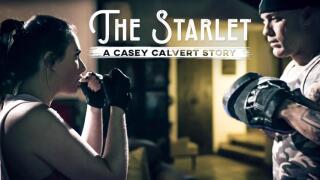 PureTaboo – The Starlet: A Casey Calvert Story – Casey Calvert, Derrick Pierce
